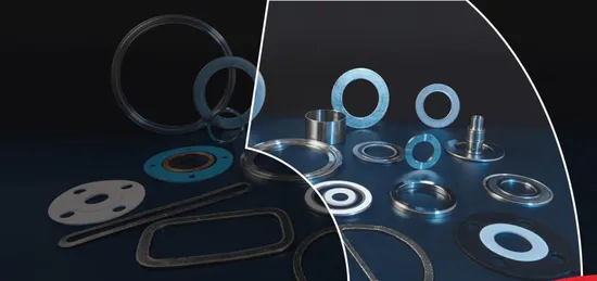 Metal Ring Gasket/ Spiral Wound Gasket /Swg/Gasket